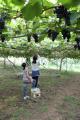 �u�h�E���0924_001