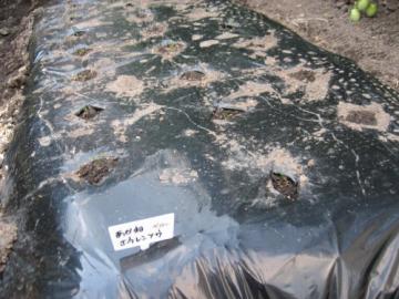 �ԍ��z�E�����\�E_001