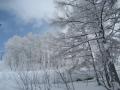ZAO0205_001