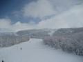 ZAO0205_002
