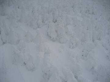 ZAO0205_015