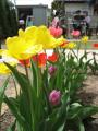 BBQ0429_003