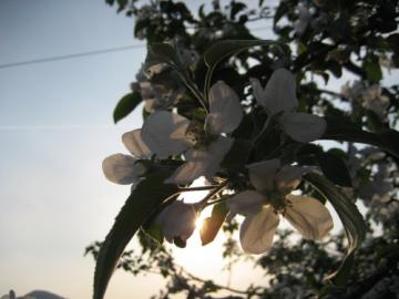 k0507_012
