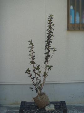 AJe}VcPFfBA{ytE؁zF