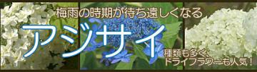 AWTCW
