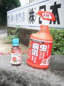 ���b�h���r���̕a�C�̖�