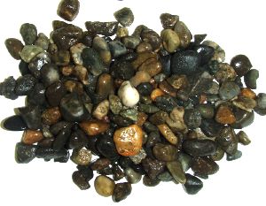 �r�������@�G�ꂽ�l�q