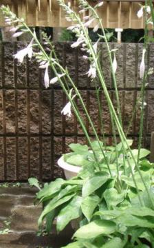 �M�{�E�V�@6��25��