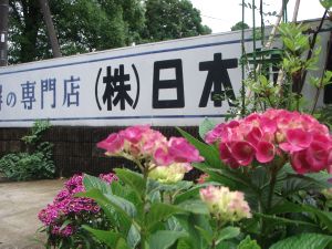 ���������@������