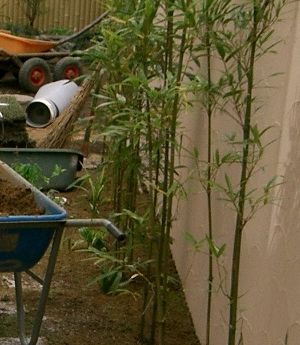 �Ǎۂɂ͒|��A���܂���