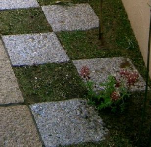 ��e�΂ƎŐ��̃R���g���X�g��������