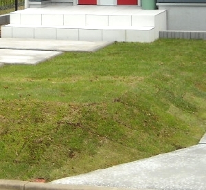 �Ő��͓y���߂̖������ʂ����Ă��܂��B