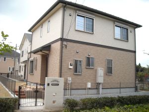 �������ƃA�C�A������̃G�N�X�e���A