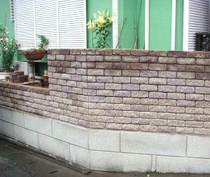 �G�X�r�b�N�@�����u���b�N�E�I�[���f�B