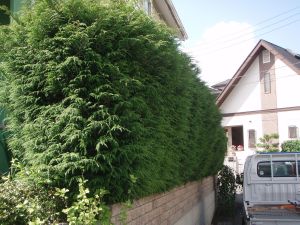 �{�H�O�@���_���͂ݏo�Ă��܂���