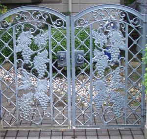 ���C�I���̖����