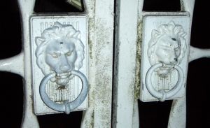 �������C�I�������