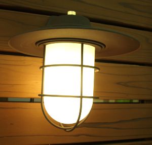 �}���������v�Ɣ�