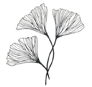 �^�J�V���[�@�E�H�[���A�[�g