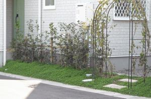 �q���C���_���\�E�@5/20