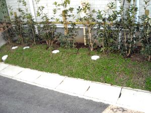 �q���C���_���\�E�@5/20