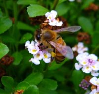 �q���C���_���\�E�@�I