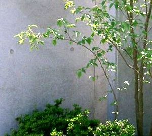 �q�b�ƐA�͈͂ӊO�ɑ������ǂ��ł�