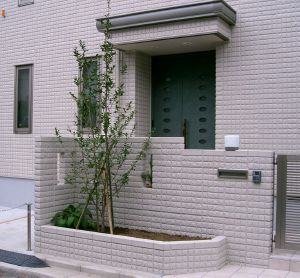 �����Ɠ��f�ނ̃G�N�X�e���A