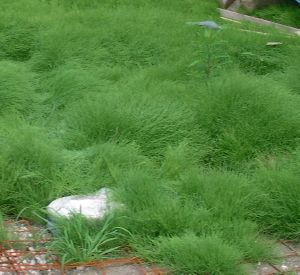 �ג����t���������I