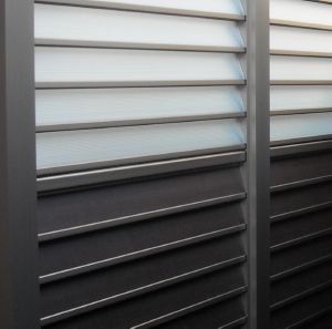 �c�[�g���J���[�����_���ȃT�j�[�u���[�Y�t�F���X