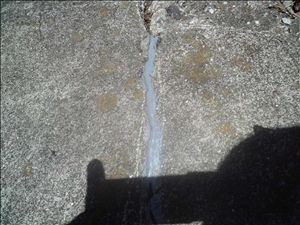 �R�[�L���O�A