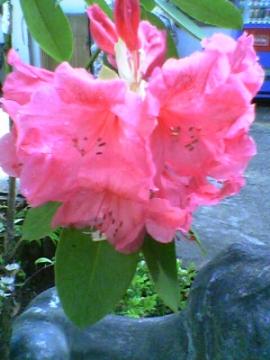 ���Ⴍ�Ȃ����J