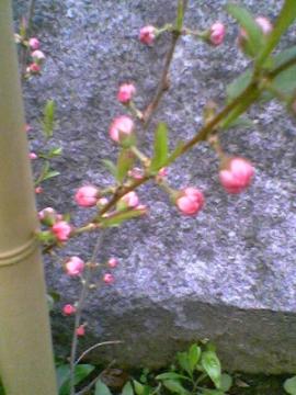 ���~�����