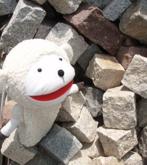 ���R�΂ŏo�����s���R��