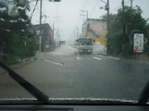 ����ɉ��f��