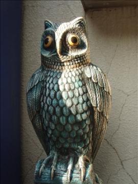 �ӂ��낤�H�A�b�v