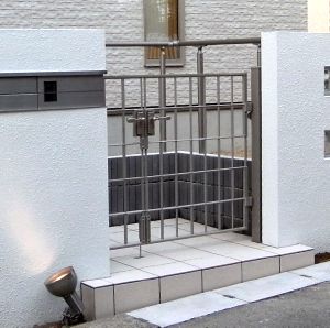 �t���C���C�����