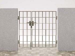 �V���y�@�t���C���C������@���_���Ȉ��