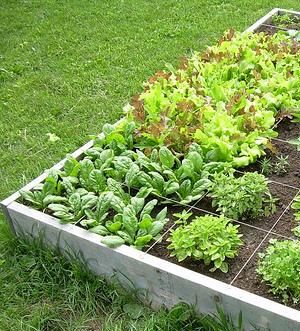 �ƒ�؉��@�X�N�G�A�t�b�g�K�[�f��