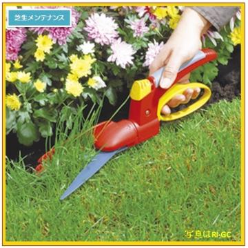 �Ŋ���n�T�~