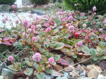 �q���c���\�o