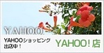 YahooIX