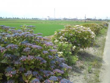 AWTC