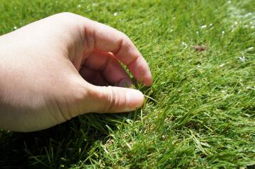 �l�H�Ŏ�G��