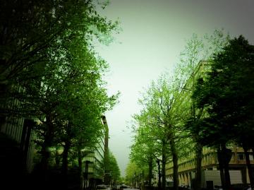 �D�y�w�X�H��