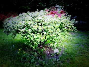 �����c�c�W