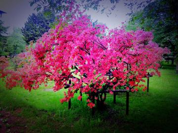 ���}�c�c�W�D�y