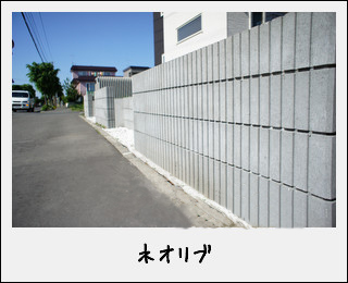 �l�I���u�{�H��