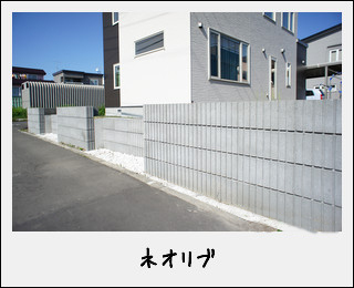 �l�I���u�摜