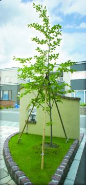 �V�����m�L